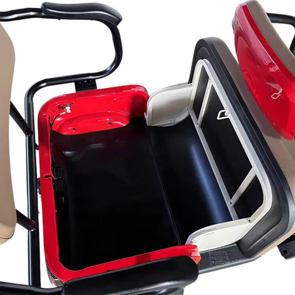 3-Seater Electric Tricycle – Family-Friendly, High-Performance