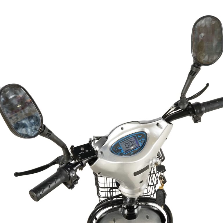 48V Delivery E-Bike