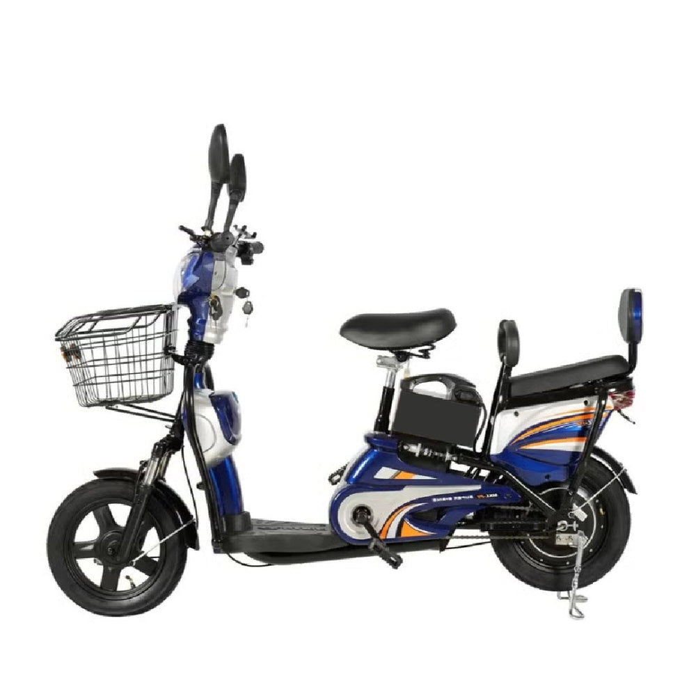 48V Delivery E-Bike