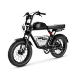 Load image into Gallery viewer, D5 Electric Bike 1000W – 48V 21AH Battery