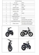 Load image into Gallery viewer, F6 Electric Bicycle – Powerful Motor, Long Range & Smooth Ride