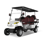 Load image into Gallery viewer, MXV4+2 Powerful, Stylish, and Eco-Friendly