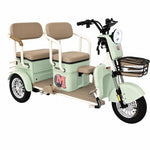 Load image into Gallery viewer, Tricycle H6 600W Dual Suspension 48V/20Ah
