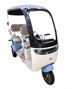 Load image into Gallery viewer, 3 Seater Tricycle Electric with Roof