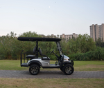 Load image into Gallery viewer, 2+2 seaters Golf cart, type street legal-approved Electric Vehicles for low-speed travel - COOLBABY