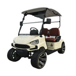 Load image into Gallery viewer, TXV2+0|S A 48V 2 Passenger Golf Cart Durable Buggy Experience