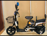 Load image into Gallery viewer, 48V Delivery E-Bike