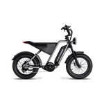 Load image into Gallery viewer, D-3 Electric Fat Tire Bike
