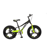 Load image into Gallery viewer, Knight 20-Inch Mountain Bike