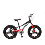 Load image into Gallery viewer, Knight 20-Inch Mountain Bike