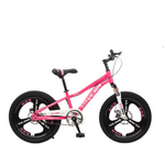 Load image into Gallery viewer, Knight 20-Inch Mountain Bike