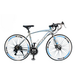 Load image into Gallery viewer, 21-Speed Cruiser Bike – Disc Brakes