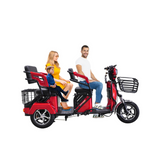 Load image into Gallery viewer, 3-Wheel Electric Scooter for Adults in UAE – 800W Passenger Tricycle