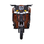 Load image into Gallery viewer, 3-Wheel Electric Scooter for Adults in UAE – 800W Passenger Tricycle