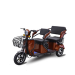 Load image into Gallery viewer, 3-Wheel Electric Scooter for Adults in UAE – 800W Passenger Tricycle