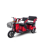 Load image into Gallery viewer, 3-Wheel Electric Scooter for Adults in UAE – 800W Passenger Tricycle