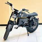 Load image into Gallery viewer, WS-20 Warrior High-Speed Electric Scooter
