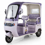 Load image into Gallery viewer, Chenxian D19 Electric Leisure Vehicle – 1000W Motor, 48V20A Battery, 3‑Wheel Detachable Design, Foldable Seats