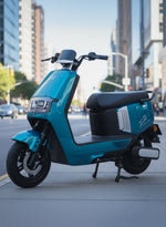 Load image into Gallery viewer, J2 Electric Bike – 1000W Motor, 70KM/H Top Speed, 80KM Range
