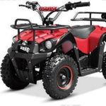 Load image into Gallery viewer, Coolbaby A7-006 ATV 49cc 2 Stroke, Air Cooled Engine - COOLBABY