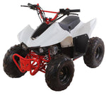 Load image into Gallery viewer, COOLBABY A7-15 ATV 125cc Single Cylinder, 4 Stroke Air Cooled Engine - COOLBABY