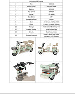 Load image into Gallery viewer, Tricycle H6 600W Dual Suspension 48V/20Ah