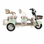 Load image into Gallery viewer, Tricycle H6 600W Dual Suspension 48V/20Ah