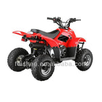 Load image into Gallery viewer, Off Road Quad bikes ATV 110CC