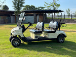 Load image into Gallery viewer, COOLBABY TXV40 A Durable 48V 4 Passenger Golf Cart Buggy Rides - COOL BABY