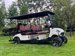 Load image into Gallery viewer, COOLBABY TXV42 A Durable 48V 6 Passenger Golf Cart, Adult 6 Seater Buggy Adventures - COOL BABY