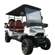 6-Seater Golf Cart