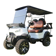 4-Seater Golf Cart