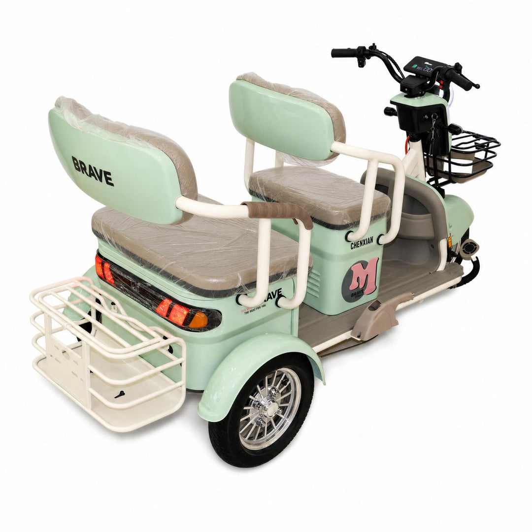 Tricycle H6 600W Dual Suspension 48V/20Ah
