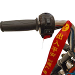 Load image into Gallery viewer, 3 Wheel Tricycle Loading Cargo bike 1000W Heavy Duty 1.2mtr