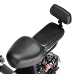 Load image into Gallery viewer, Electric Harley Bike 1000W 48V - Luxury Two-Seater

