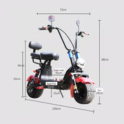 Electric Bike Harley 1000W 48V - Luxury Two-Seater