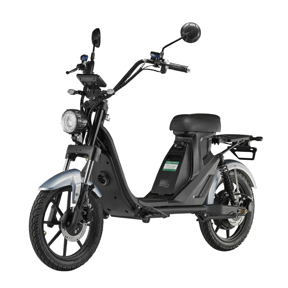 LUQI Q4 Wholesale Long Range 1000W Adults Fat Tire Lithium Battery E Scooter with Street Legal