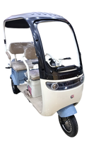 Load image into Gallery viewer, 3 Seater Tricycle Electric with Roof