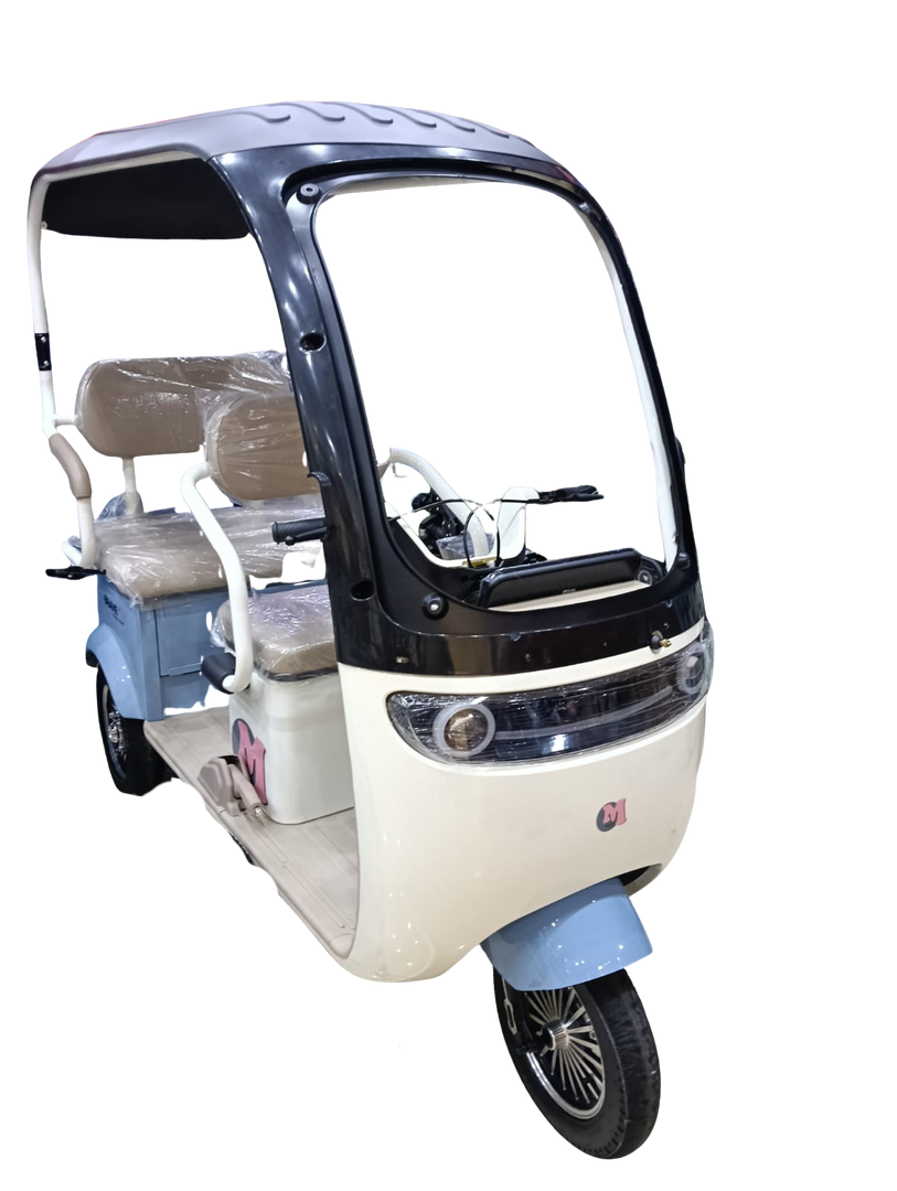 3 Seater Tricycle Electric with Roof