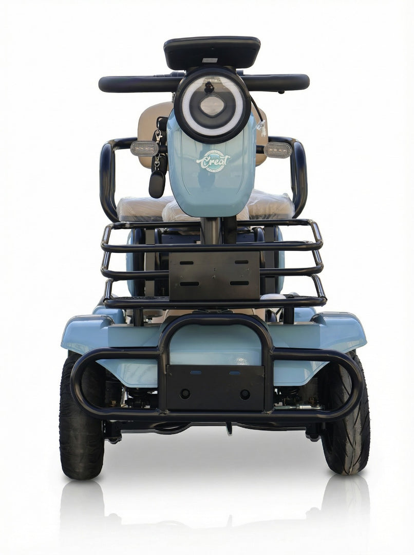 A6 Four-Wheel Leisure Electric Vehicle – 600W Motor, 48V Battery, Heavy-Duty Design