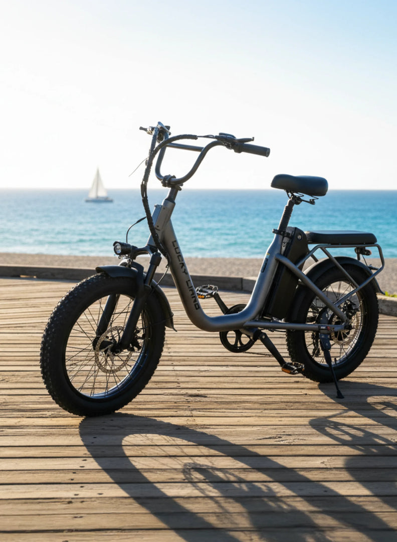 U03 Lightweight Electric Bike | 750W Max Power & 70KM Range