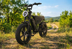 Load image into Gallery viewer, F6 Electric Bicycle – Powerful Motor, Long Range &amp; Smooth Ride