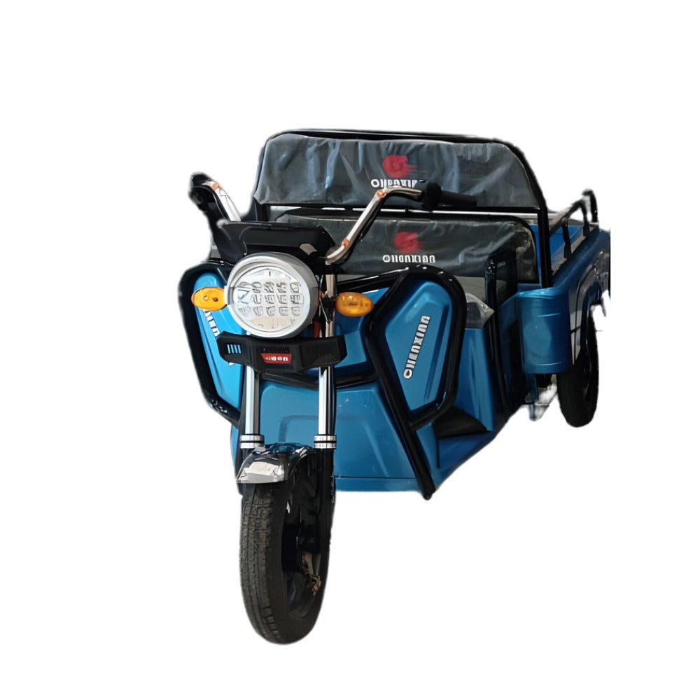 3 Wheel Tricycle Loading Cargo bike 1000W Heavy Duty 1.2mtr