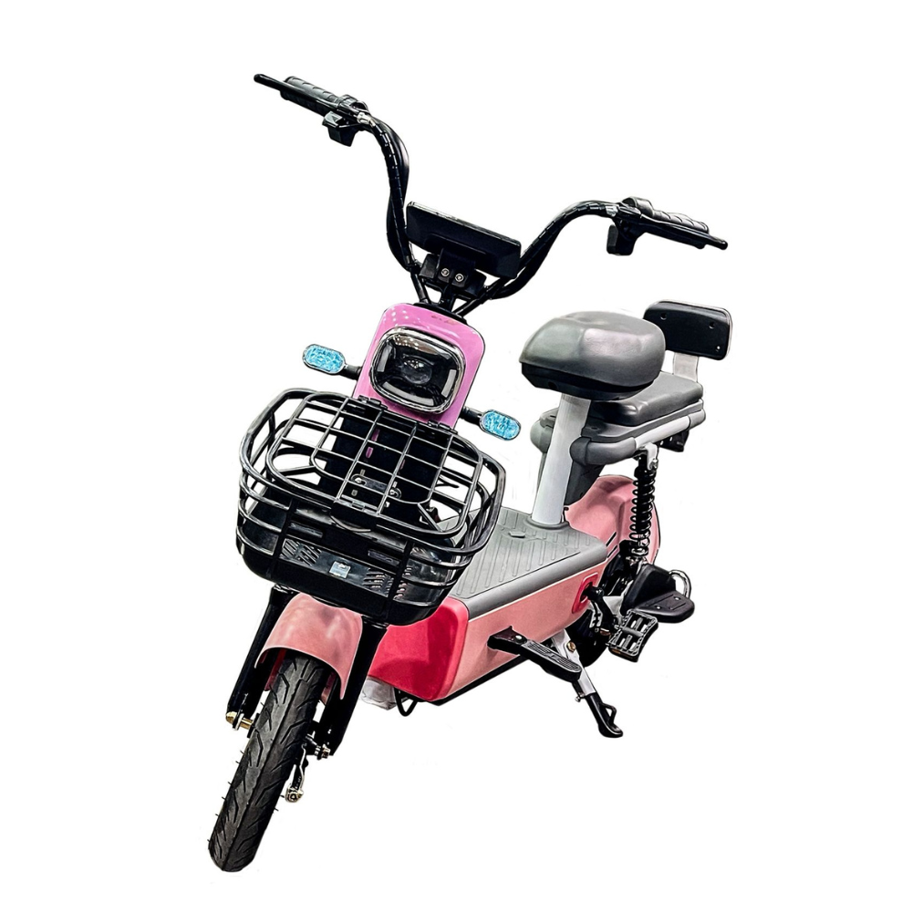 King Electric Bike