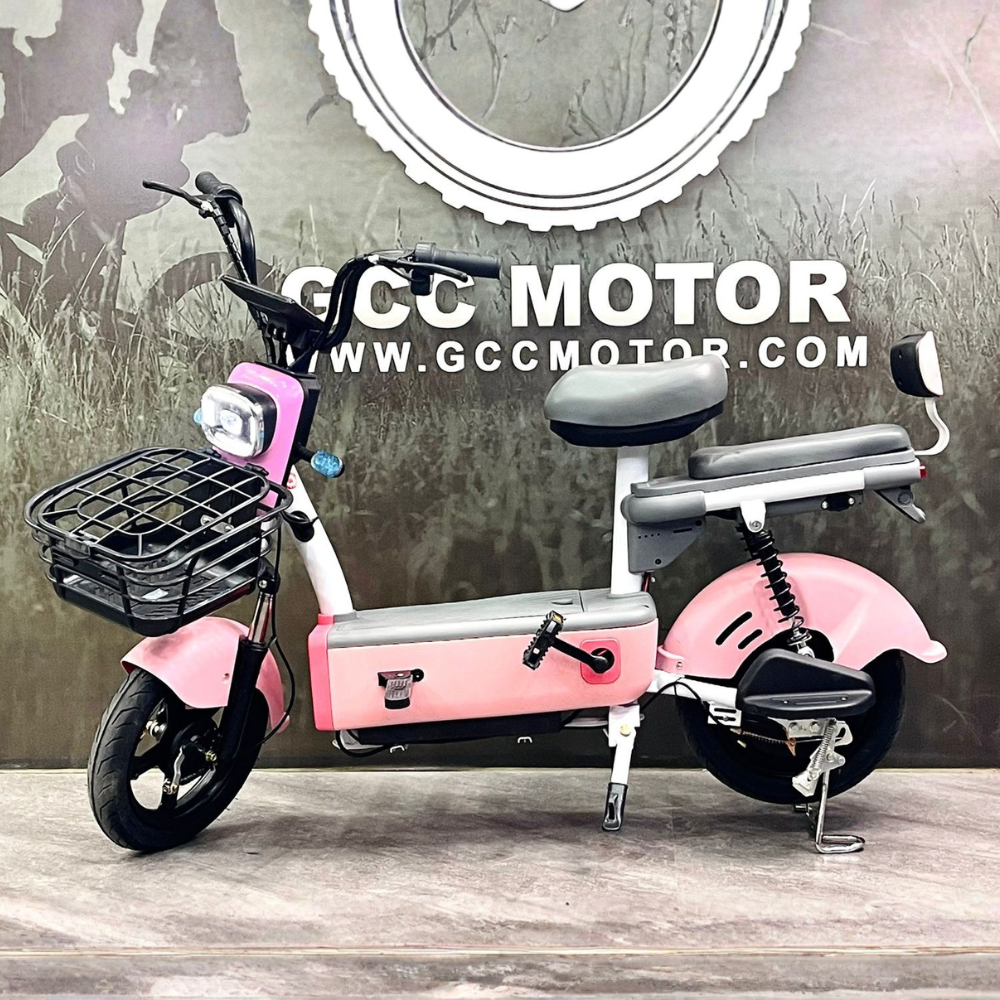 King Electric Bike