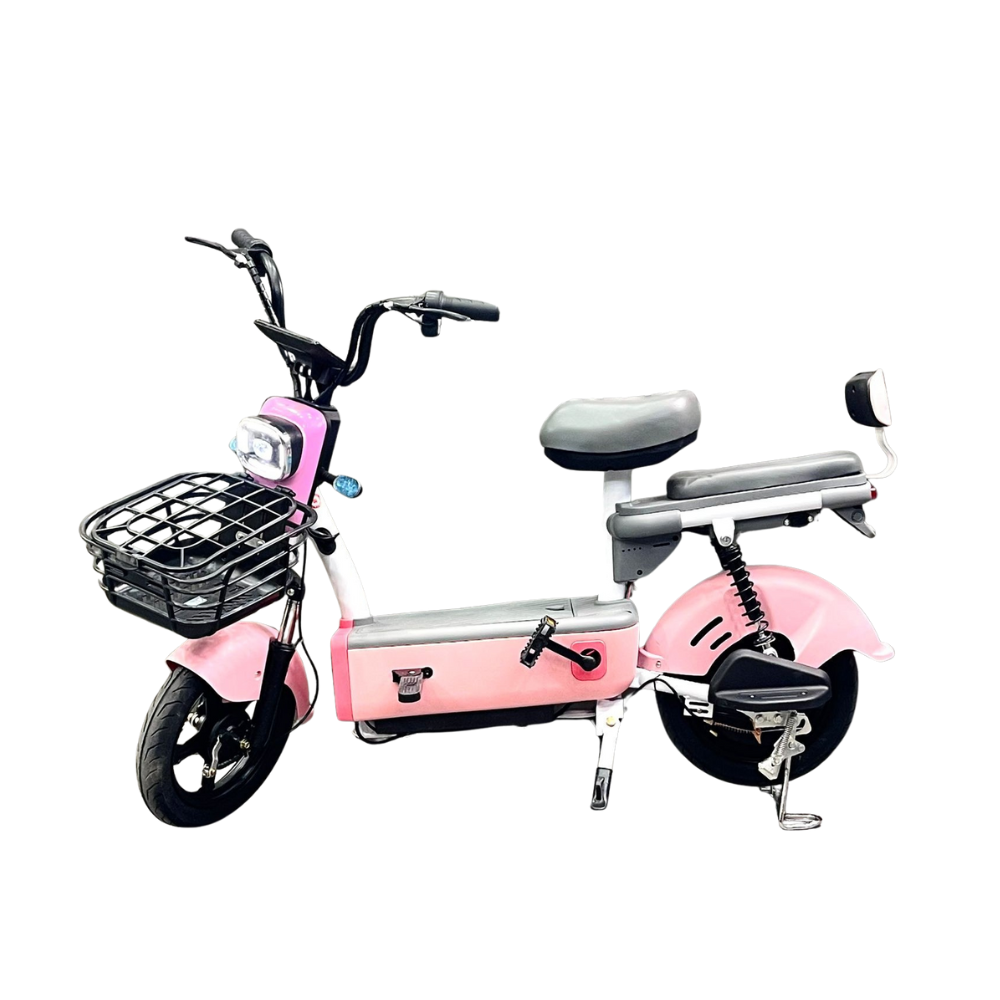 King Electric Bike