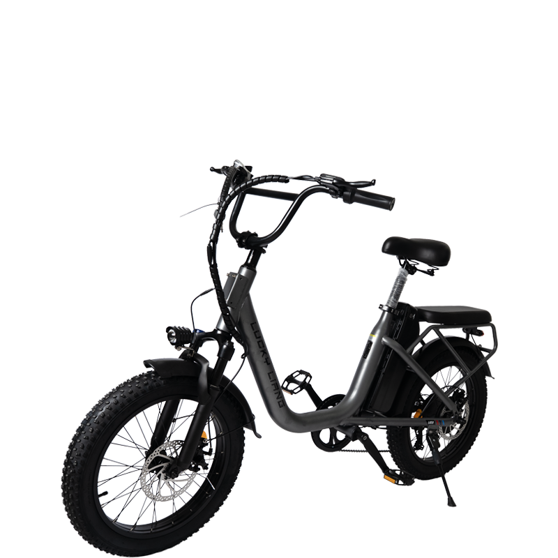 U03 Lightweight Electric Bike | 750W Max Power & 70KM Range