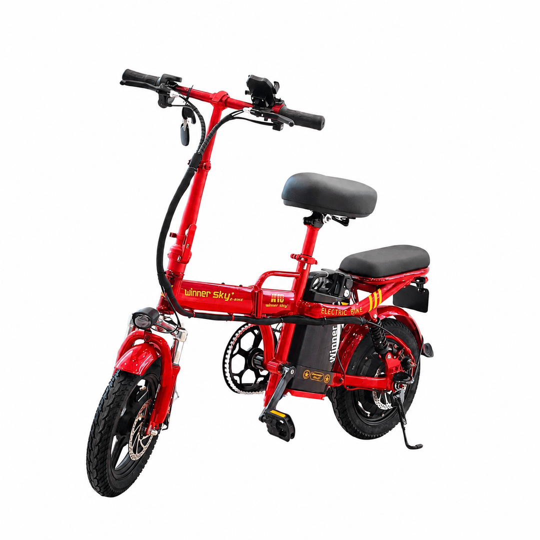 Model A-11 High-Performance Electric Bike