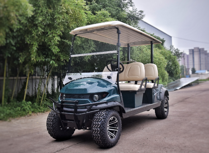 2+2 seaters Golf cart, type street legal-approved Electric Vehicles for low-speed travel - COOLBABY