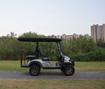 Load image into Gallery viewer, 2+2 seaters Golf cart, type street legal-approved Electric Vehicles for low-speed travel - COOLBABY
